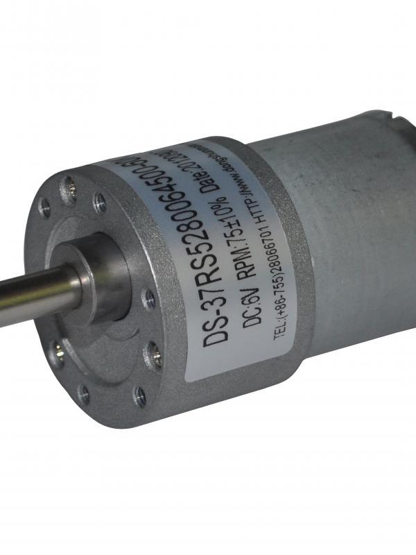 Small DC spur gear motor