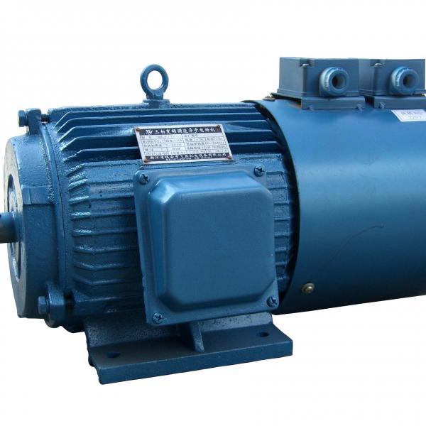 vector control of induction motor