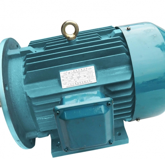 Single phase induction motor manufacturers in india