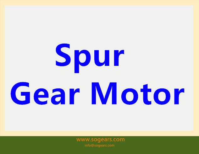 Modur Gear Spur