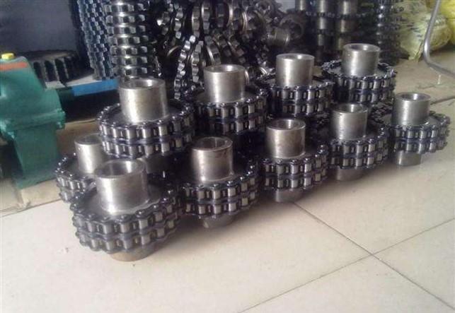 Roller chain shaft coupling